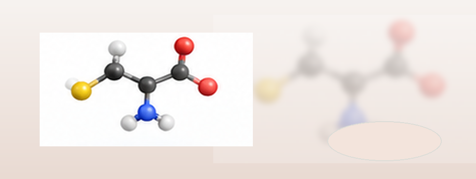 Molekulare und strukturelle Darstellung von L-Cystein