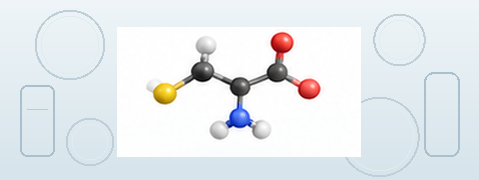 Wissenschaftliche Laborillustration zur Einordnung von L-Cystein
