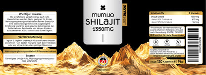 Sonnesee Shilajit – 1350 mg Hochdosiert pro Portion | Vegan & Laborgeprüft