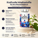 Wasserbalance 7-fach Brennnessel Komplex