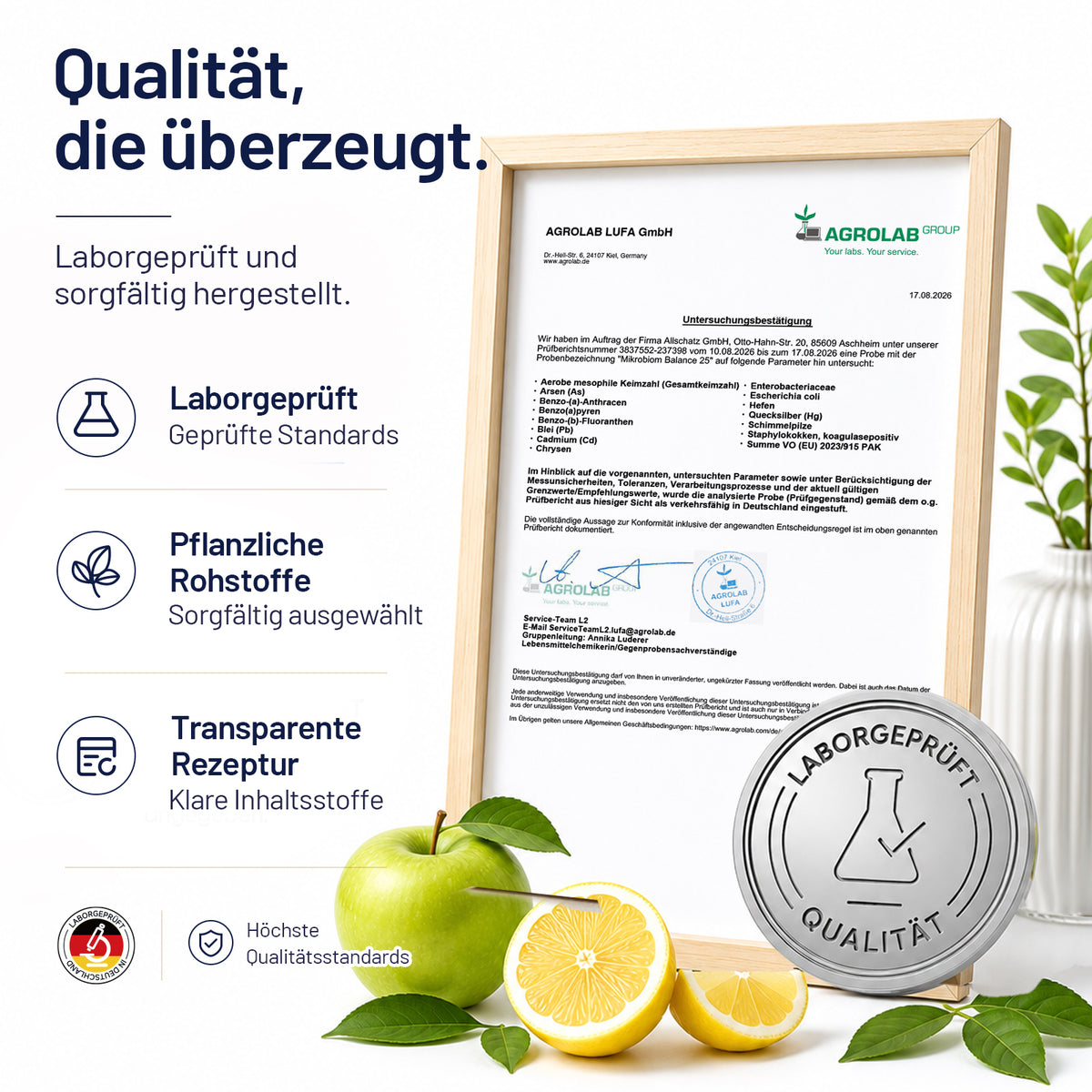 25 Bakterienkulturen + 30 Mrd. KBE – Darmflora Pulver mit Präbiotika, Enzymen, Zink & Biotin – 30 Tagesportionen – Sonnesee Mikrobiom Balance 25