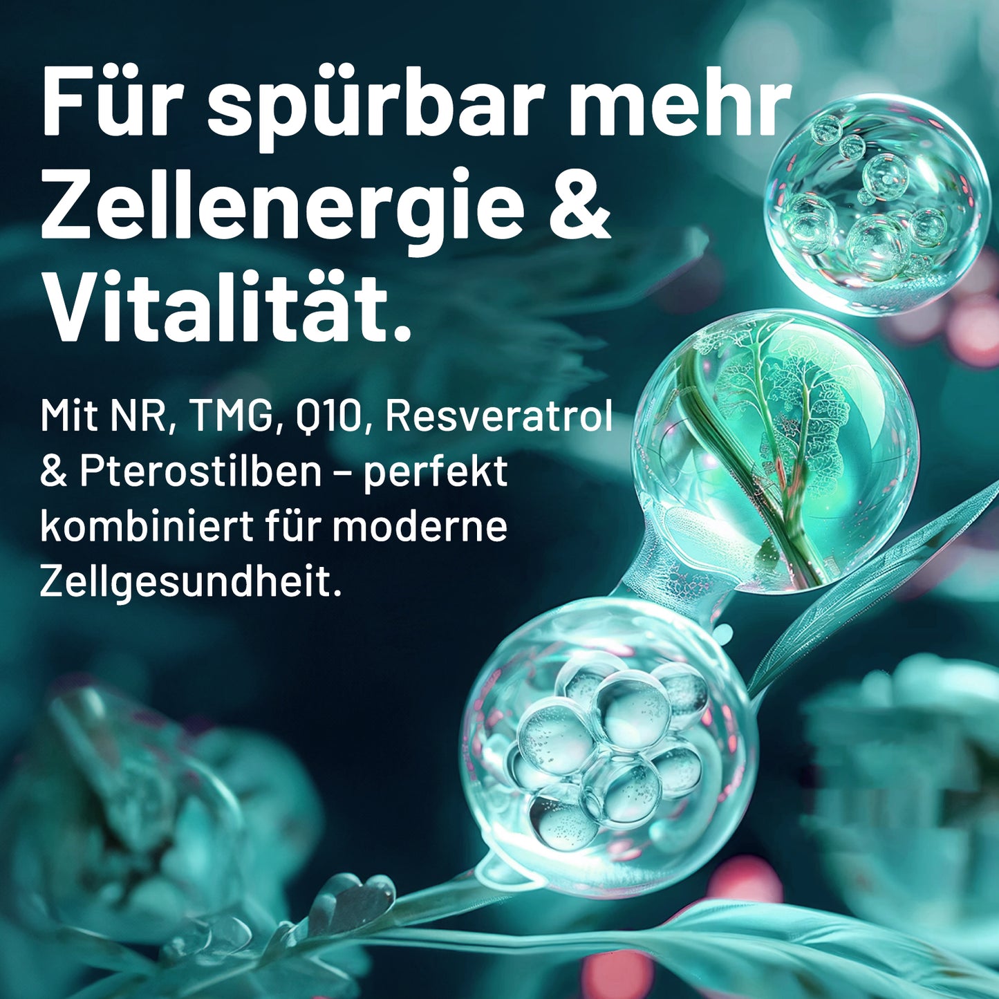 NAD⁺ NR Komplex 90 Kapseln