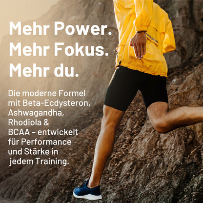 Sonnesee® BETA Ecdysteron