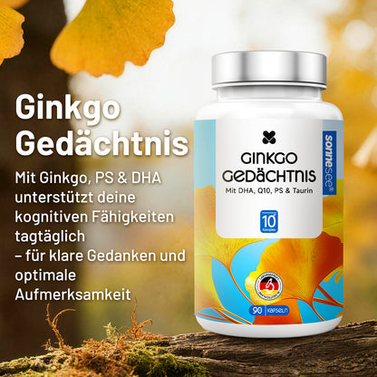 Ginkgo Gedächtnis Kapseln mit DHA, Q10, PS & Taurin, 90 Stück, Nahrungsergänzungsmittel mit Ginkgo-biloba-Extrakt