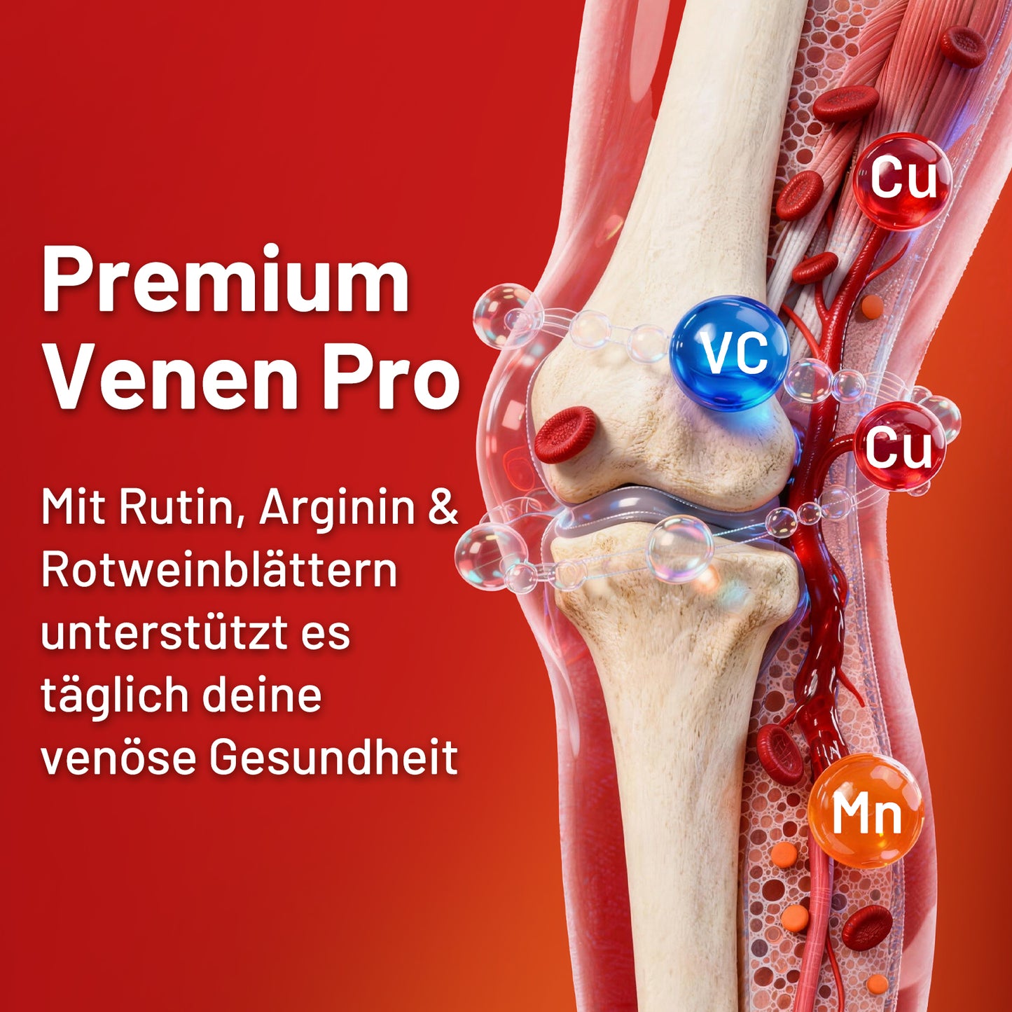 Premium Venen Pro Kapseln, 90 Stück, Mit Rutin, L-Arginin, Rotweinblätter-Extrakt, Vitamin C, Kupfer und Mangan, Vegan