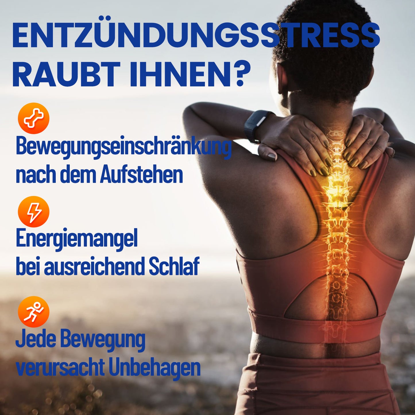 Sonnesee Curcuma Extrakt 120 Kapseln Hochdosiert