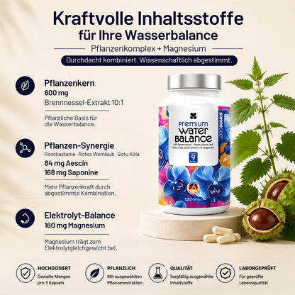 Sonnesee Premium Water Balance 120 – Pflanzenkomplex für Leichtigkeit und tägliche Wasserbalance