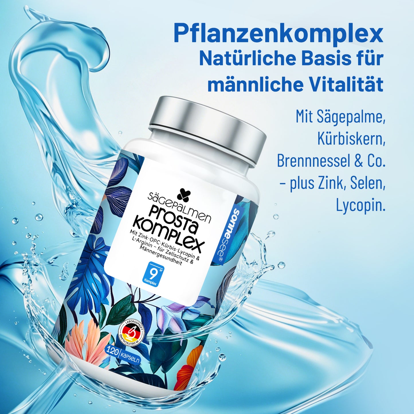 Sägepalmen Männer Komplex