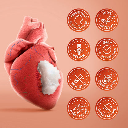 Sonnesee Coenzym Q10 120 Kapseln hochwertiges 4 Monate Vorrat mit Vitamin E 50mg aus pflanzlicher Fermentation Vegan