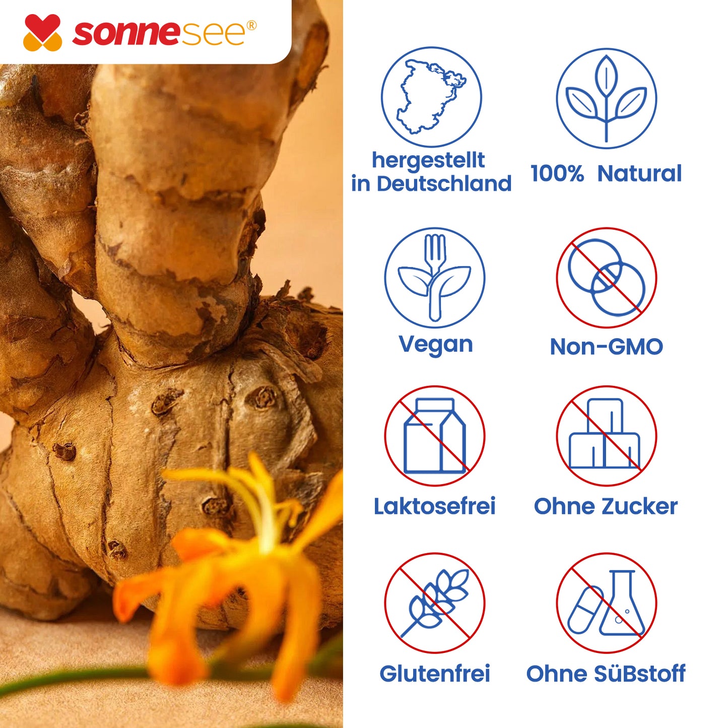 Curcuma Extrakt 120 Kapseln Hochdosiert