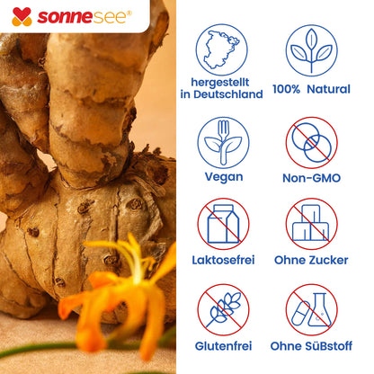 Curcuma Extrakt 120 Kapseln Hochdosiert