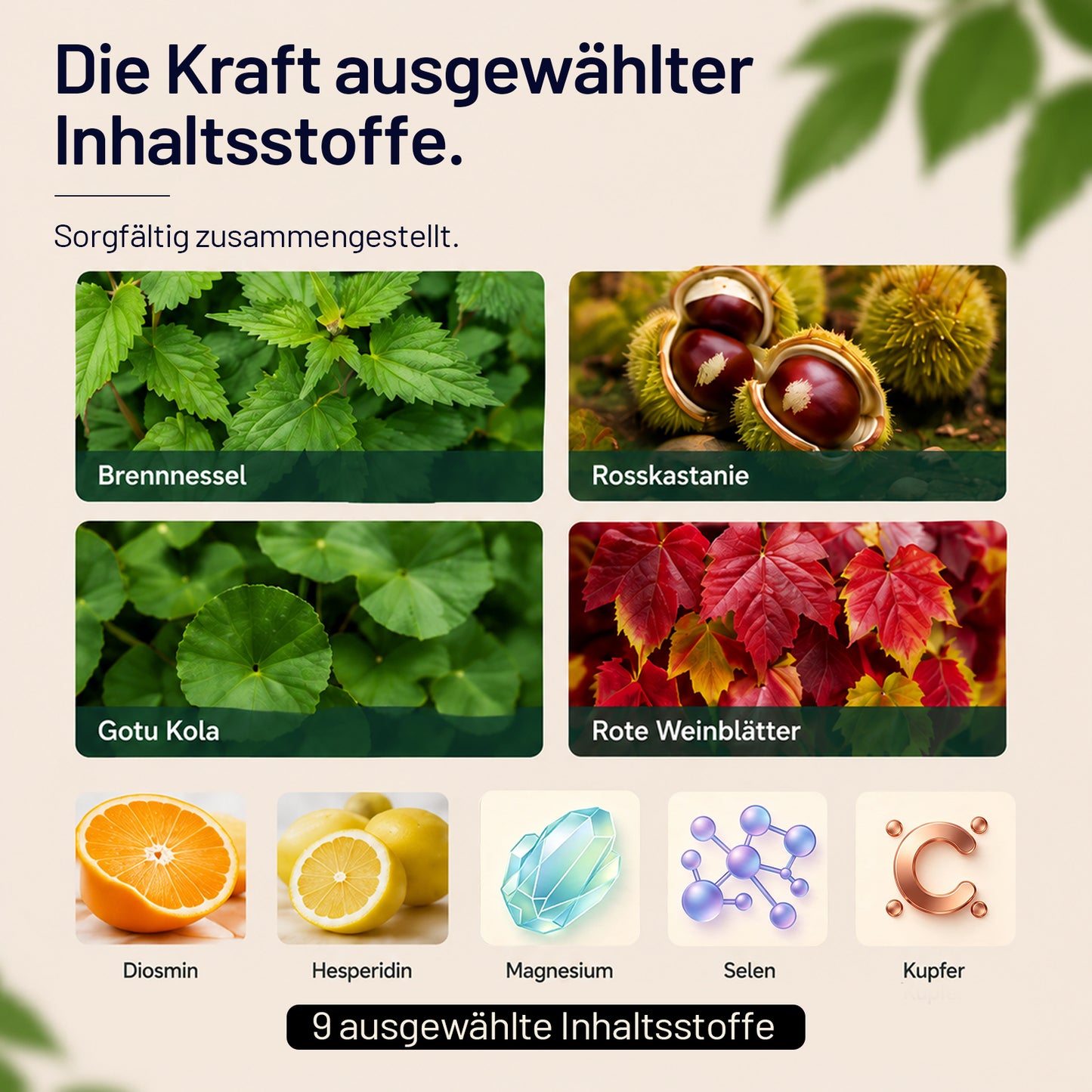 Sonnesee Premium Water Balance 120 – Pflanzenkomplex für Leichtigkeit und tägliche Wasserbalance