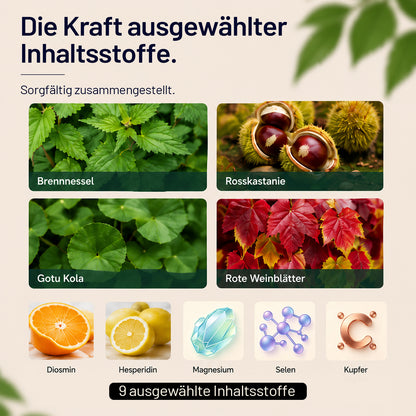 Sonnesee Premium Water Balance 120 – Pflanzenkomplex für Leichtigkeit und tägliche Wasserbalance