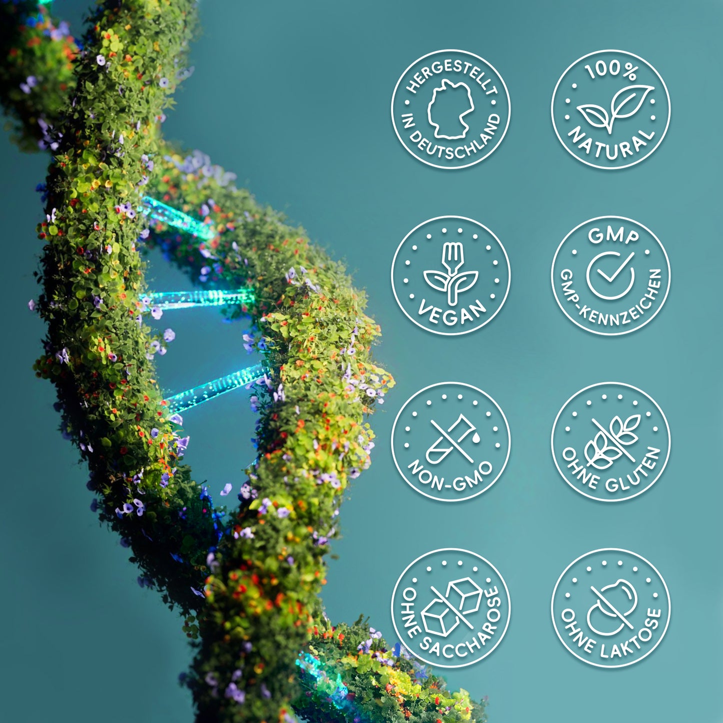 NAD⁺ NR Komplex 90 Kapseln