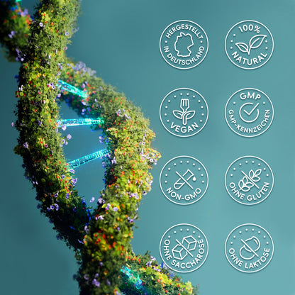 NAD⁺ NR Komplex 90 Kapseln