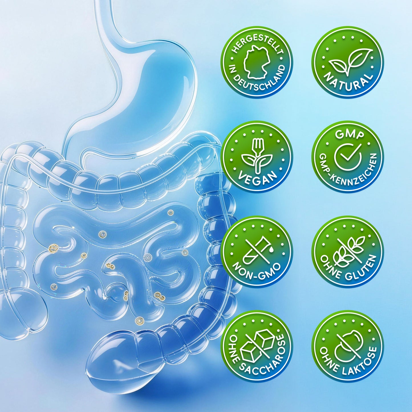 Pro 50Mrd Darmflora 38 Stämme Hochdosierte Komplexformel mit Akazienfaser, L-Glutamin, Zink & B-Vitaminen Hergestellt in Deutschland