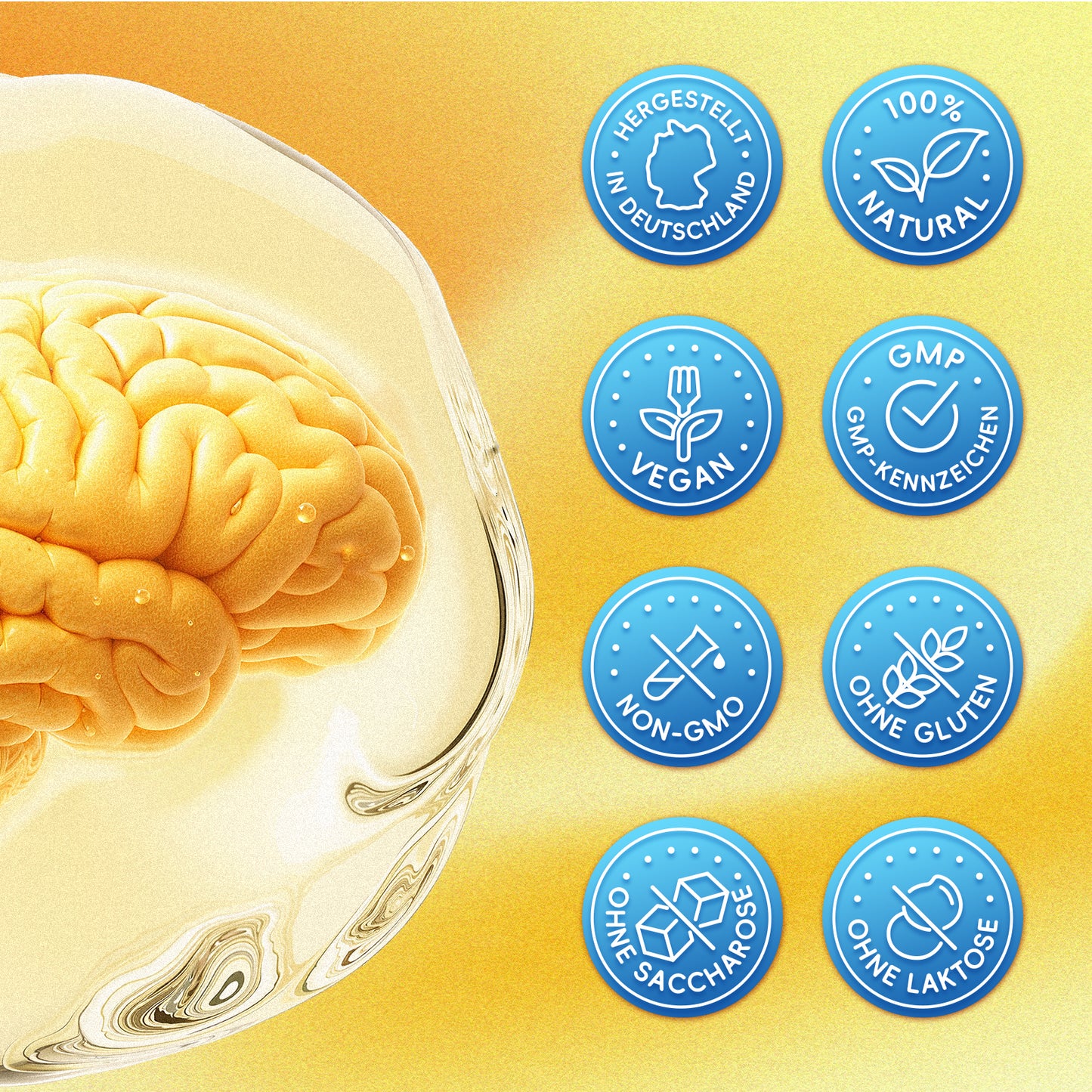 Ginkgo Gedächtnis Kapseln mit DHA, Q10, PS & Taurin, 90 Stück, Nahrungsergänzungsmittel mit Ginkgo-biloba-Extrakt