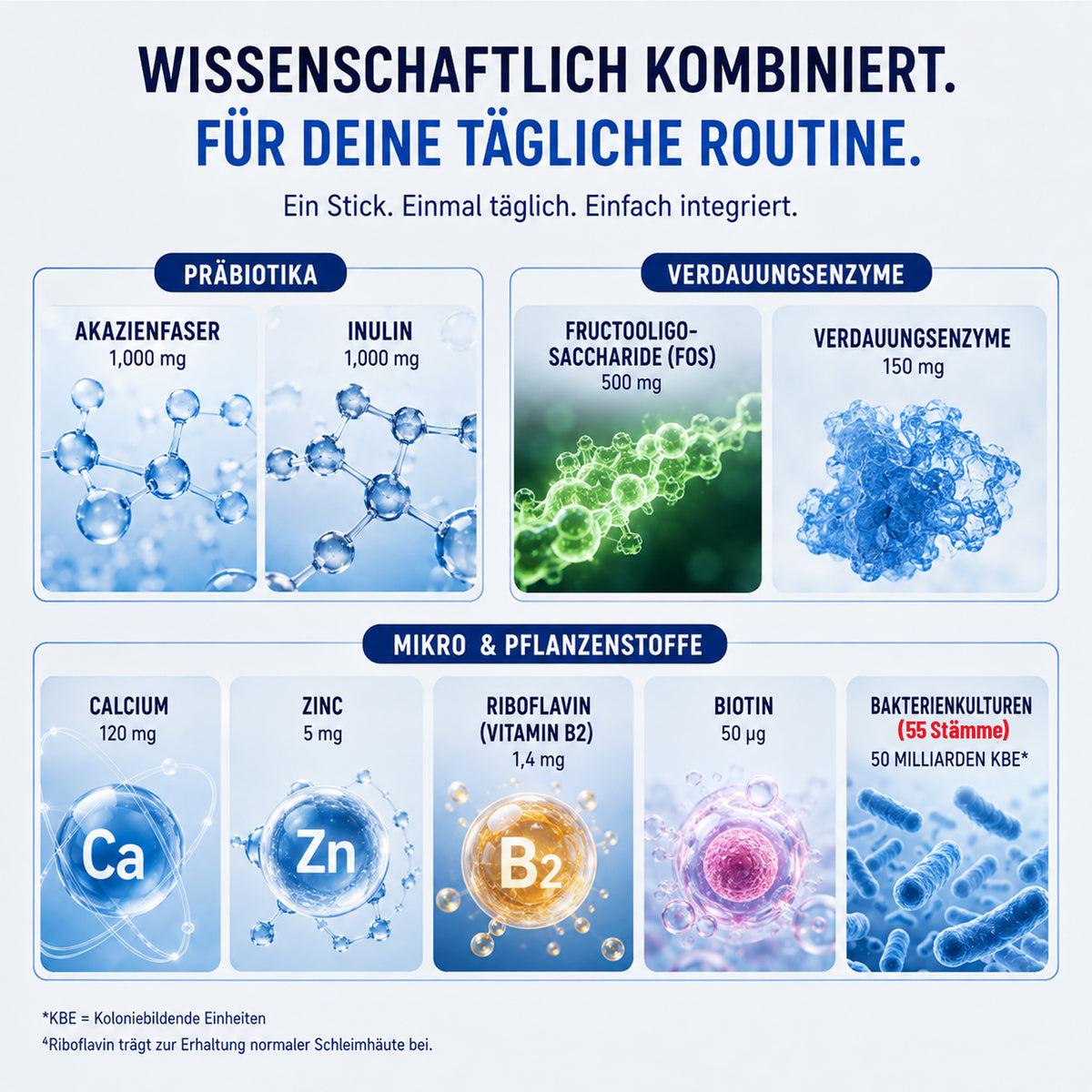 55 Bakterienkulturen 50 Mrd. KBE – Darmflora Komplex mit Inulin, Akazienfaser, FOS, Enzymen, Zink & Biotin – 30 Portionssticks – Sonnesee ULTIBIOM 55