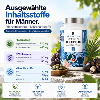 Sonnesee Sägepalmen Männer Komplex
