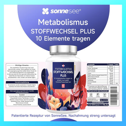 Pylopass plus gegen Helicobacter pylori