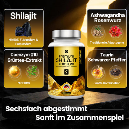 Sonnesee Premium Shilajit Komplex – Rein, Hochdosiert & Laborgeprüft | Mit Ashwagandha, Rhodiola & Q10