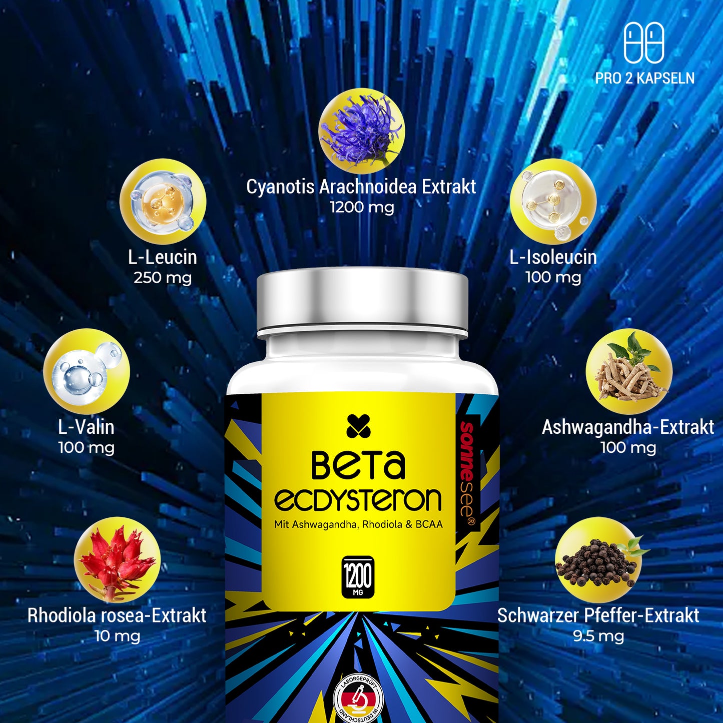 Sonnesee® BETA Ecdysteron