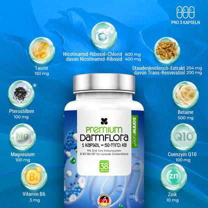 Pro 50Mrd Darmflora 38 Stämme Hochdosierte Komplexformel mit Akazienfaser, L-Glutamin, Zink & B-Vitaminen Hergestellt in Deutschland