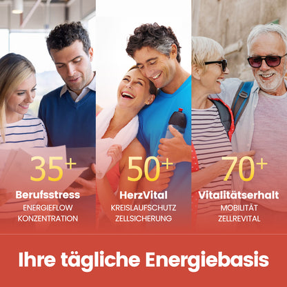 Sonnesee Coenzym Q10 120 Kapseln hochwertiges 4 Monate Vorrat mit Vitamin E 50mg aus pflanzlicher Fermentation Vegan