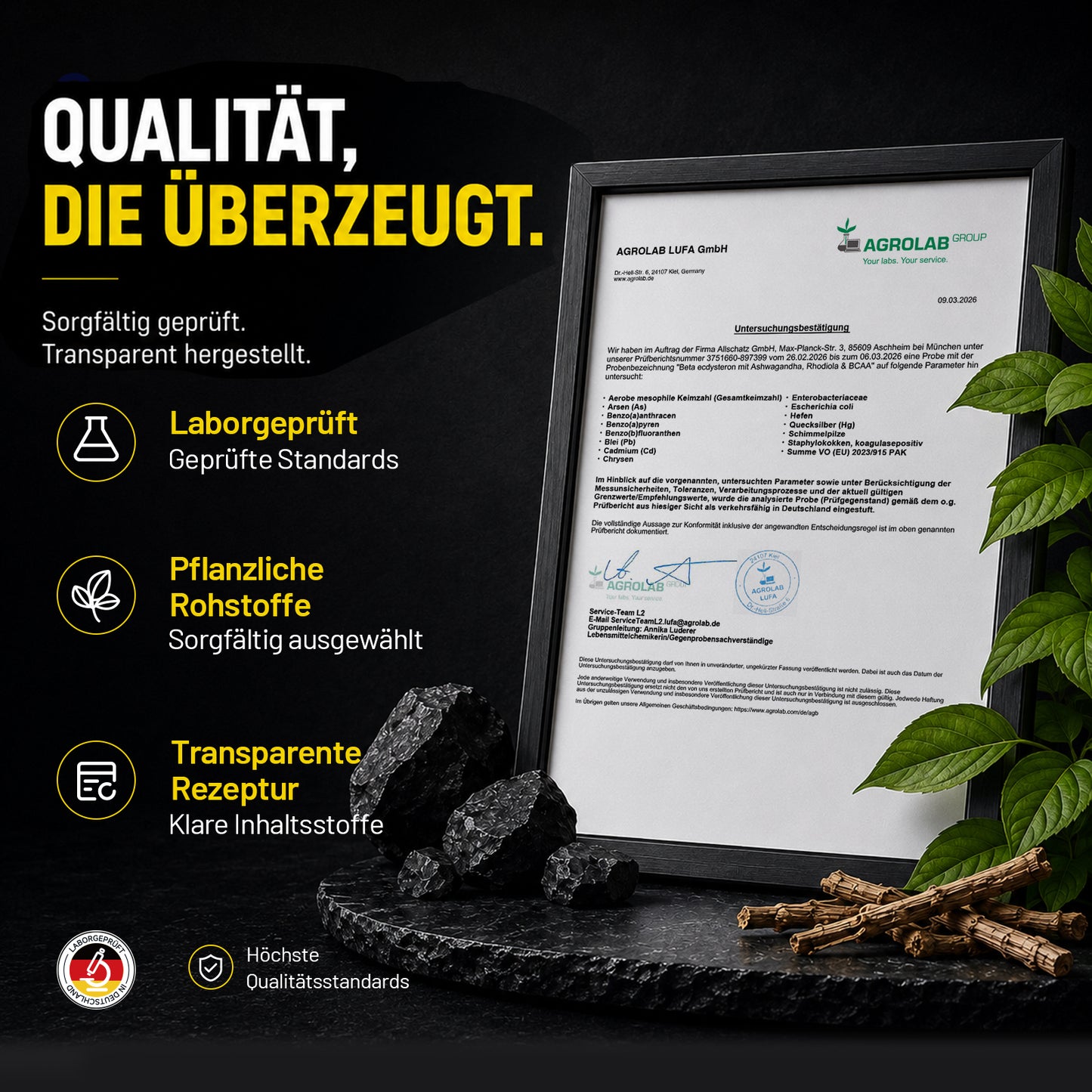 Sonnesee® BETA Ecdysteron