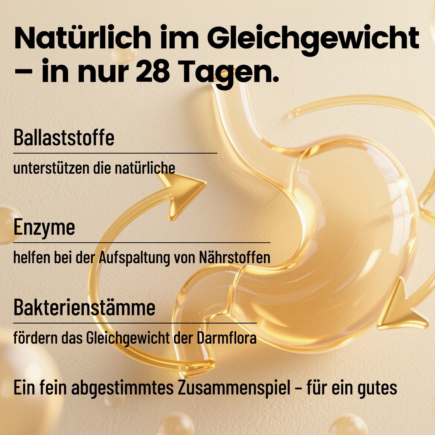 28-Tage-Balance-Plan Von innen ins Gleichgewicht – Dein 28-Tage-Balance-Programm