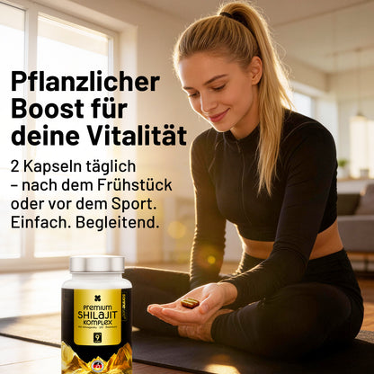 Sonnesee Premium Shilajit Komplex – Rein, Hochdosiert & Laborgeprüft | Mit Ashwagandha, Rhodiola & Q10