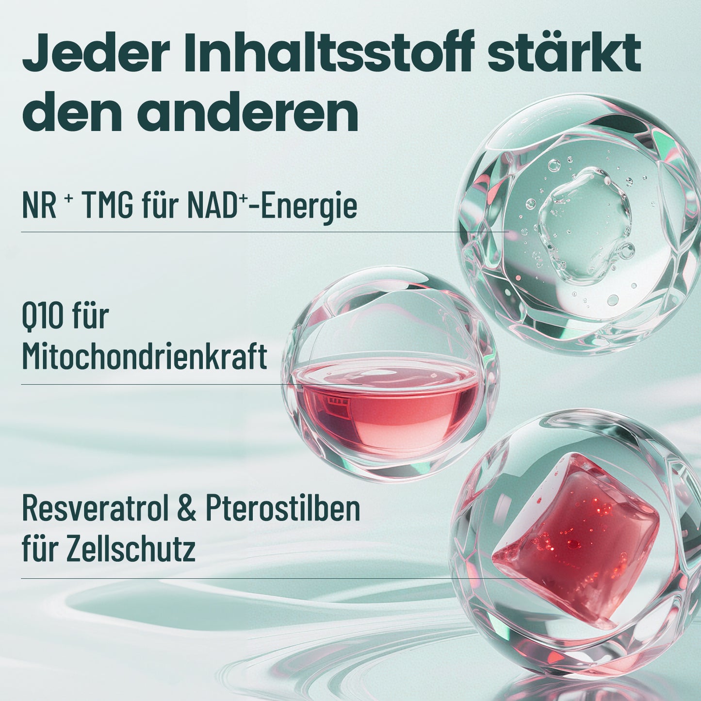 NAD⁺ NR Komplex 90 Kapseln