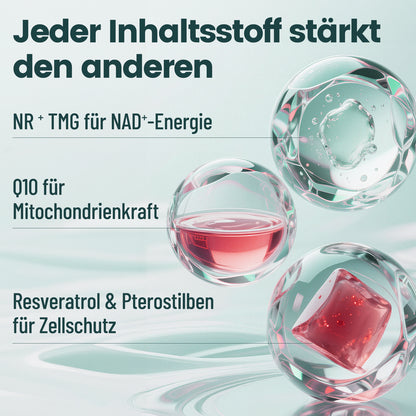 NAD⁺ NR Komplex 90 Kapseln