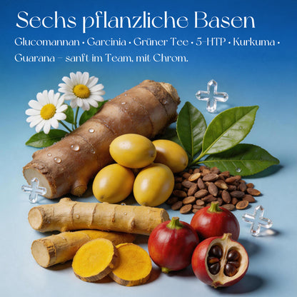 5-HTP MetaLine mit Chrom & Cholin