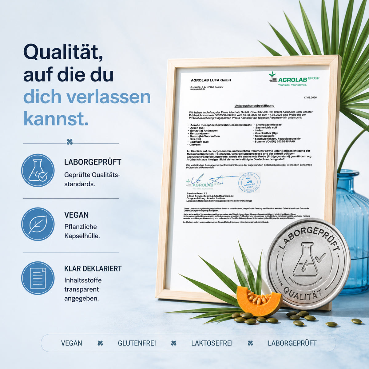 Sonnesee Sägepalmen Männer Komplex