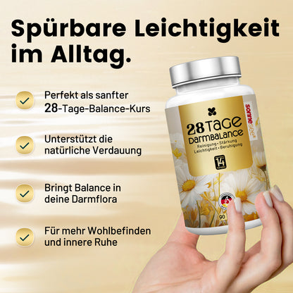 28-Tage-Balance-Plan Von innen ins Gleichgewicht – Dein 28-Tage-Balance-Programm