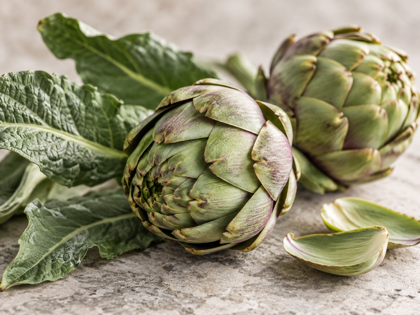 Frische Artischocken mit charakteristischen Hüllblättern und großen grünen Blättern