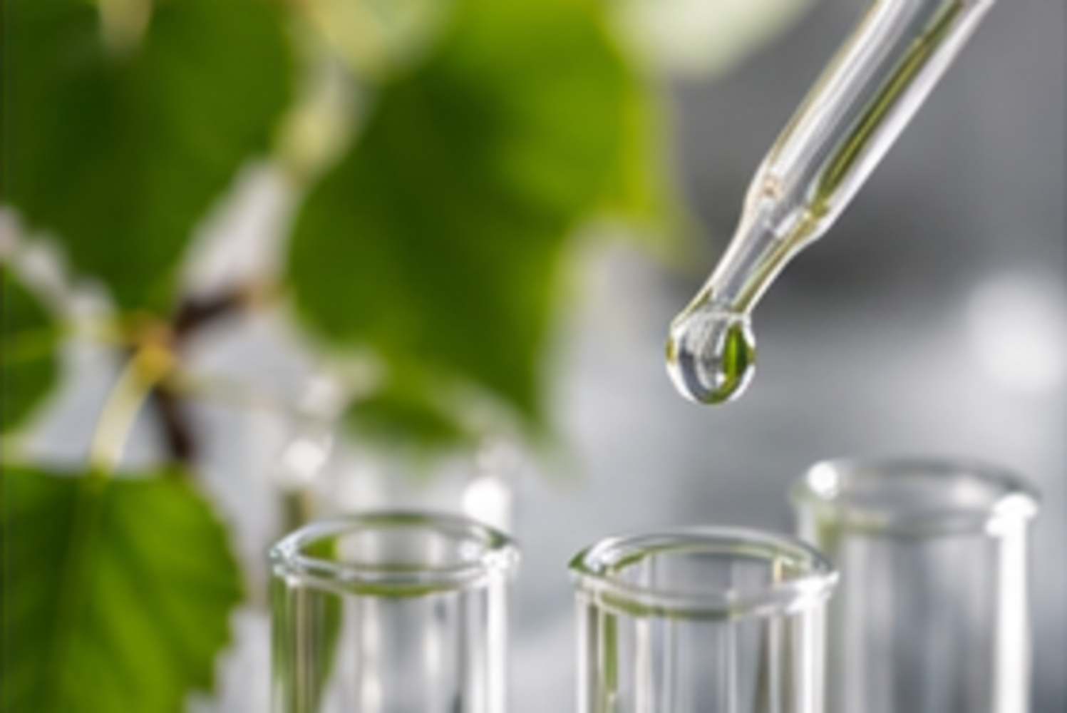 Laboruntersuchung von Birkenblatt-Zubereitungen mit Pipette und Glasgefäßen