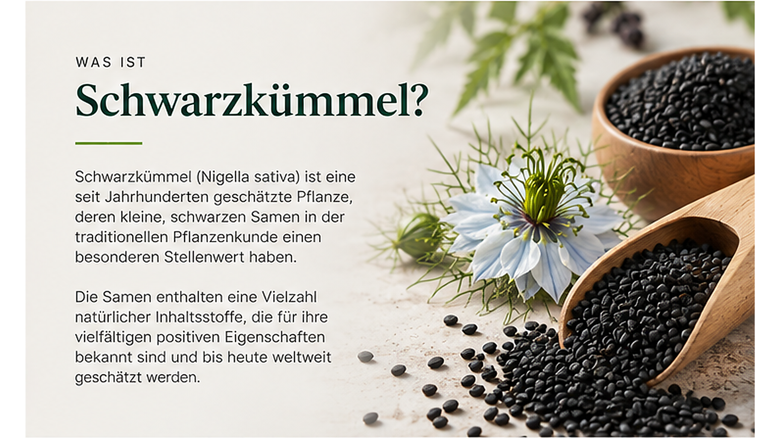 Schwarzkümmelblüte und schwarze Samen