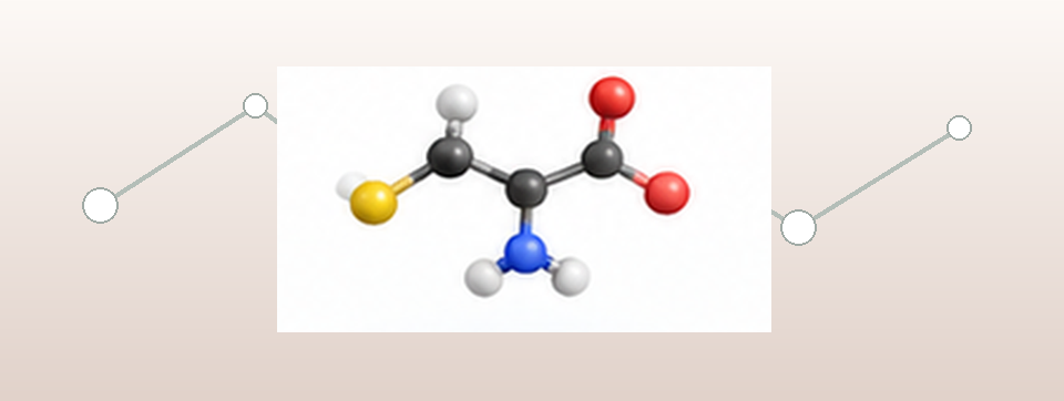 Illustrative wissenschaftliche Darstellung zum biochemischen Kontext von L-Cystein