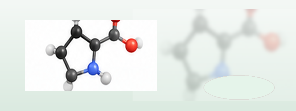 Molekulare und strukturelle Darstellung von L-Prolin