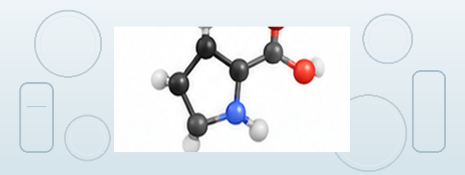Wissenschaftliche Laborillustration zur Einordnung von L-Prolin