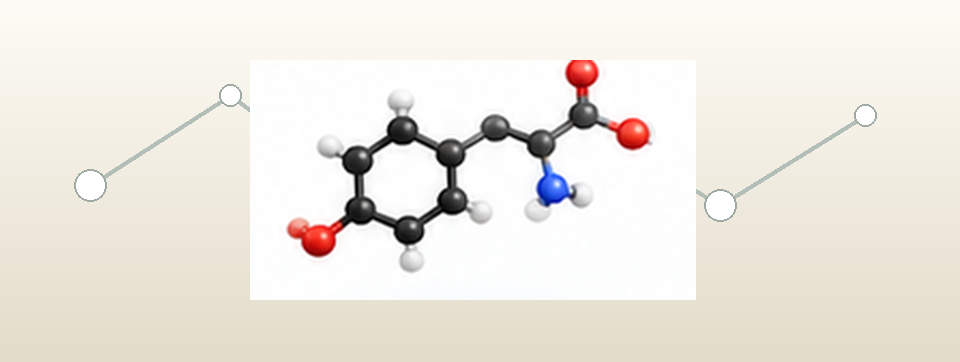 Illustrative wissenschaftliche Darstellung zum biochemischen Kontext von L-Tyrosin