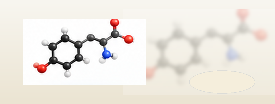 Molekulare und strukturelle Darstellung von L-Tyrosin